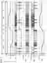 Fig. 07 - Drive circuit and liquid ejecting apparatus