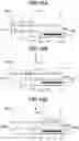 Fig. 20 - Maintenance apparatus, recording apparatus, and control method