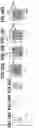 Fig. 17 - Recording apparatus