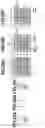 Fig. 23 - Recording apparatus