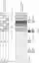 Fig. 04 - Printer Color Calibration Via A Monochromatic Sensor