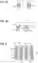 Fig. 05 - Recording-head position adjustment mechanism, recording-head module, and image forming apparatus