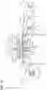 Fig. 08 - Method for producing a strip of three-dimensional decorative piece made of thermoplastic synthetic resin and apparatus for producing the same