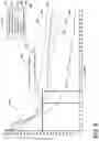 Fig. 07 - Vehicle seating method with ventilated cooling