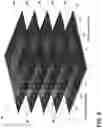 Fig. 11 - Seat assembly