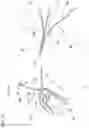 Fig. 04 - Occupant protection device