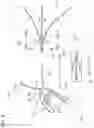 Fig. 09 - Occupant protection device