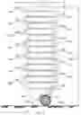 Fig. 03 - STACKABLE CART