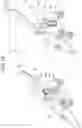 Fig. 17 - Saddle ride type vehicle