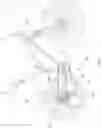 Fig. 02 - MULTI-SPROCKET FOR BICYCLES