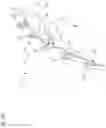 Fig. 38 - Bicycle sprocket