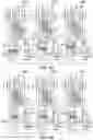 Fig. 25 - Operating device