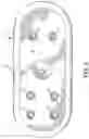 Fig. 03 - Stabilized flotation platform