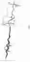 Fig. 11 - Hetero-stiffness robotic device