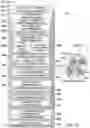 Fig. 30 - Rotorcraft quiet modes