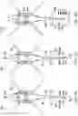 Fig. 13 - Power management systems for electrically distributed yaw control systems