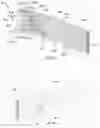Fig. 20 - Child resistant packaging