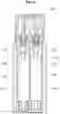 Fig. 07 - Container for discharging different types of content