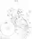 Fig. 07 - Medium conveying apparatus in which separation force of separation roller by gear with respect to pressing force of separation roller by torque limiter is set appropriately