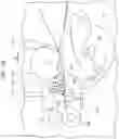 Fig. 18 - Medium conveying apparatus including light guide which is bent