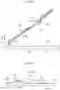 Fig. 09 - Medium ejecting apparatus including medium regulating member provided so as to swing and pivot