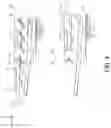 Fig. 05 - MEDIUM LOADING DEVICE AND RECORDING SYSTEM