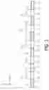 Fig. 04 - Medium loading device and recording system
