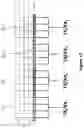 Fig. 19 - MICROMECHANICAL DEVICE FOR TRANSDUCING ACOUSTIC WAVES IN A PROPAGATION MEDIUM