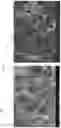 Fig. 11 - Process for Producing A Highly Activated, Monolithic Net-Shaped Biochar Electrode