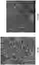 Fig. 10 - Tape-casting apparatuses for preparing carbon nanostructure sheets and carbon nanostructure sheets prepared by the same