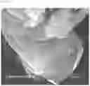 Fig. 08 - GRAPHITE EXFOLIATION SYSTEM AND GRAPHITE EXFOLIATION METHOD USING THE SAME