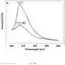 Fig. 05 - Method for preparing carbon-functionalized PrO