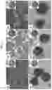 Fig. 08 - Doped tin oxide particles and doped tin oxide shells for core-shell particles