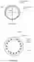 Fig. 227 - Water Vapor Distillation Apparatus, Method and System