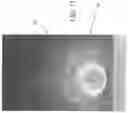 Fig. 14 - Laser ablation and filtration apparatus and process for removal of hydrocarbons and contaminants