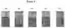 Fig. 05 - METHODS AND COMPOSITIONS FOR TREATING PRODUCED WATER
