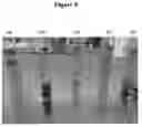 Fig. 06 - METHODS AND COMPOSITIONS FOR TREATING PRODUCED WATER