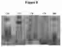Fig. 09 - METHODS AND COMPOSITIONS FOR TREATING PRODUCED WATER