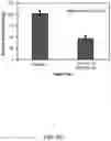 Fig. 10 - SLURRY-BASED METHODS FOR ENVIRONMENTAL BARRIER COATING REPAIR AND ARTICLES FORMED BY THE METHODS
