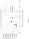 Fig. 10 - ANTIMICROBIAL GLASS