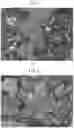 Fig. 02 - PRODUCTION METHOD FOR CEMENT CLINKER AND CEMENT CLINKER POWDER