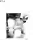 Fig. 03 - CERAMIC SINTERED BODY AND CERAMIC POWDER