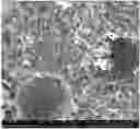 Fig. 01 - Calcium sulfate urea granules and methods for producing and using the same