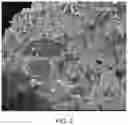 Fig. 03 - Calcium sulfate urea granules and methods for producing and using the same