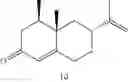 Fig. 09 - Methods of carbon-carbon bond fragmentation
