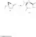 Fig. 264 - Methods of carbon-carbon bond fragmentation