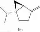 Fig. 69 - Methods of carbon-carbon bond fragmentation