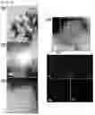 Fig. 04 - Preparing method of linear carbonate compounds