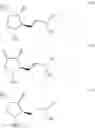 Fig. 09 - METHOD FOR PRODUCING PKROSTAGLANDIN