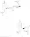 Fig. 12 - METHOD FOR PRODUCING PKROSTAGLANDIN